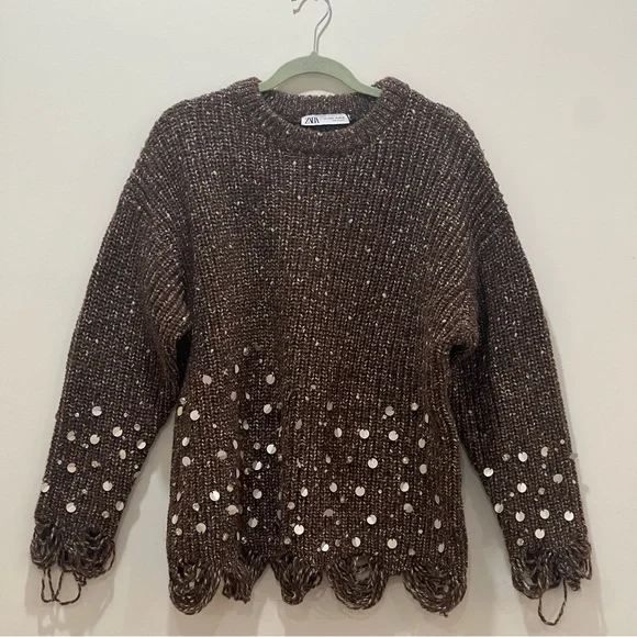 Zara Brown Sweater with Sequin Accents - Picture 1 of 3